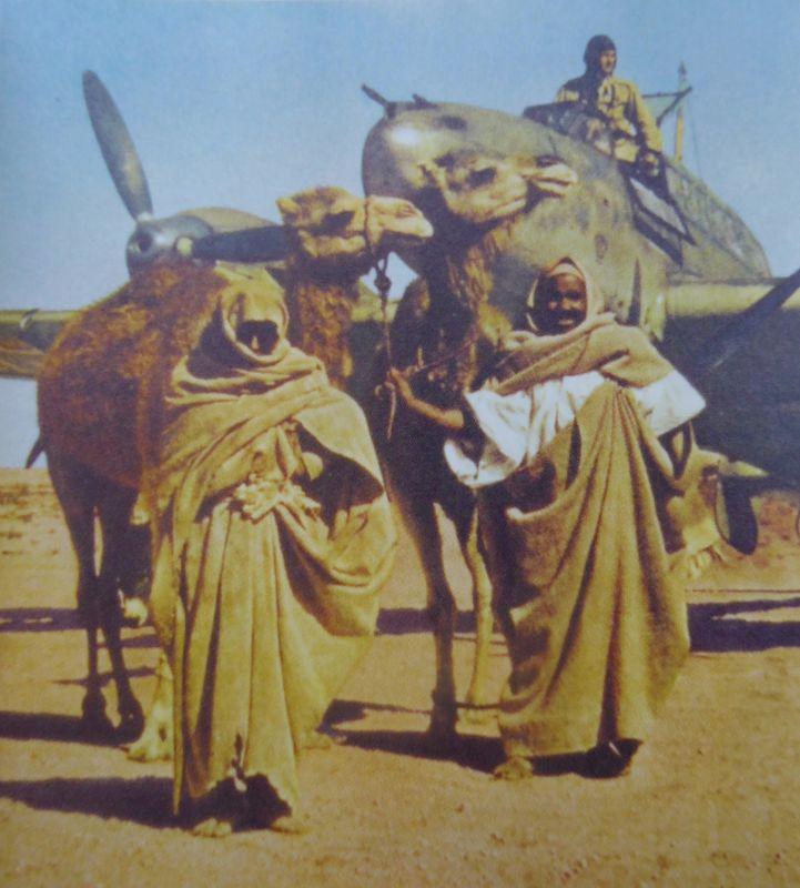 A Bedouin with his wife and dromedaries poses in front of a German Messerschmitt Bf.110 fighter.jpg