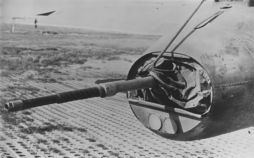 B-17G with a 20 mm cannon onboard.jpg