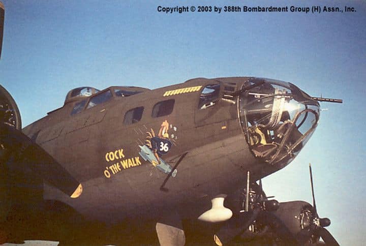 B17 F  NOSE ART.jpg