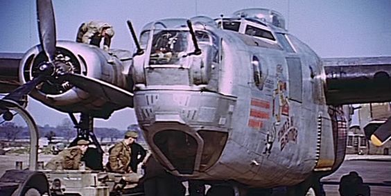 b24  nose.jpg