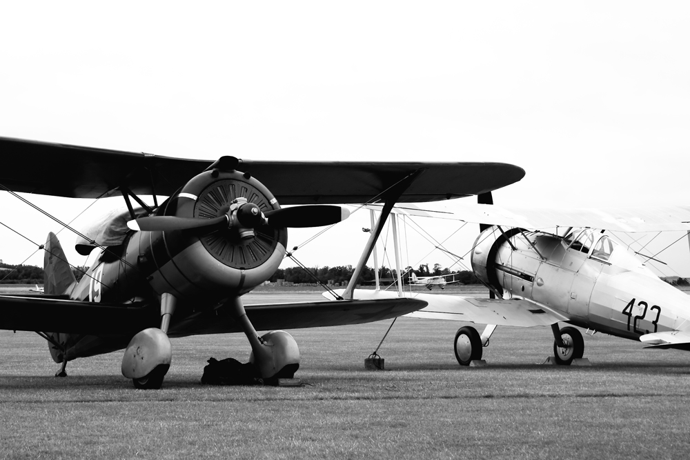 Last of the Biplanes_BW.jpg