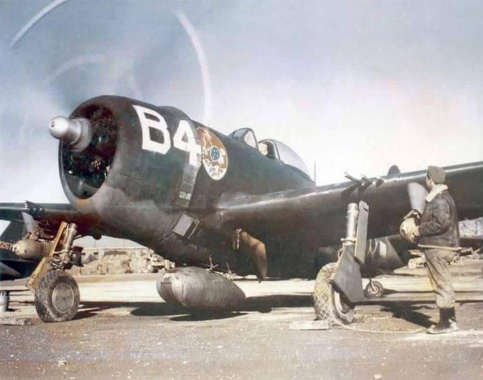 p47 brazilian air  force italy 1944jpg.jpg