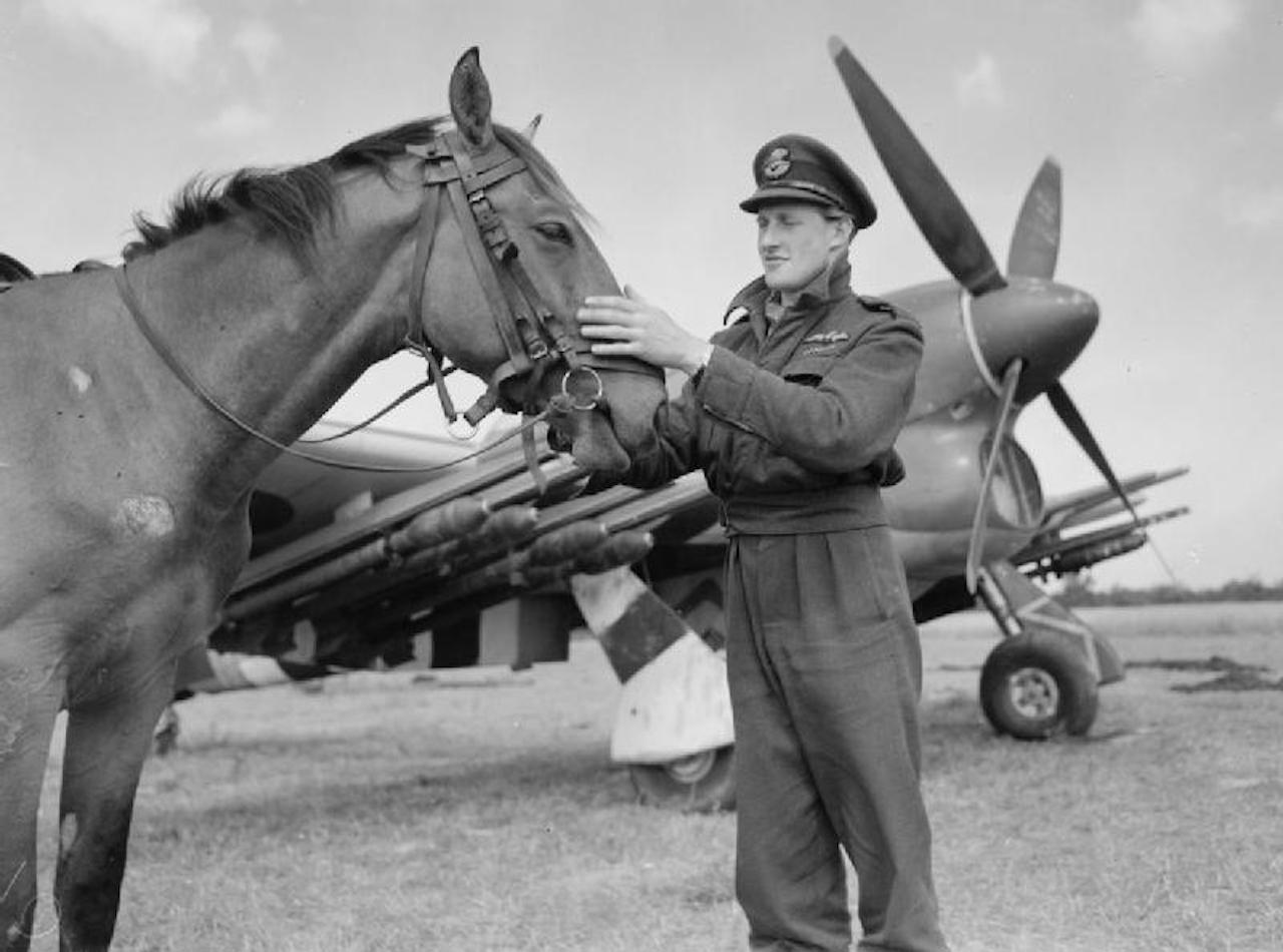 Royal_Air_Force_1939-1945-_Fighter_Command_CL993.jpg